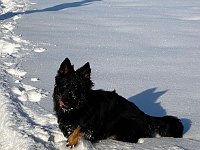 Onyx  Bes.: Karin Stadlin und Goofy Windler